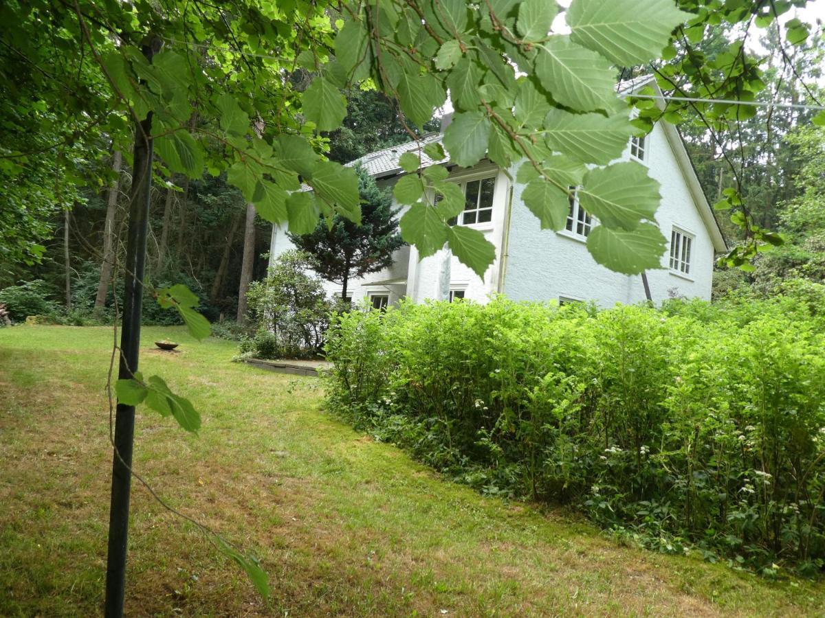 Ferienwohnung Niemann In Lutterloh Unterluss Eksteriør billede